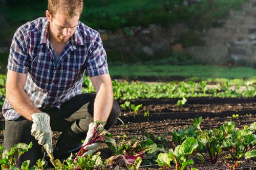 Operative setting up garden waste segregation area in Dulwich property