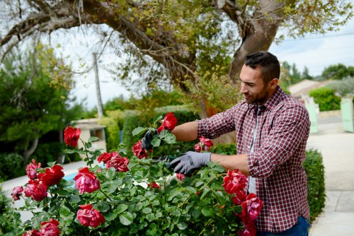 Sorting recyclable materials and garden cuttings during maintenance work