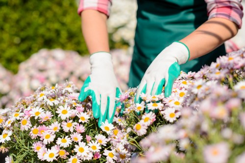 Tools used for efficient garden clearance