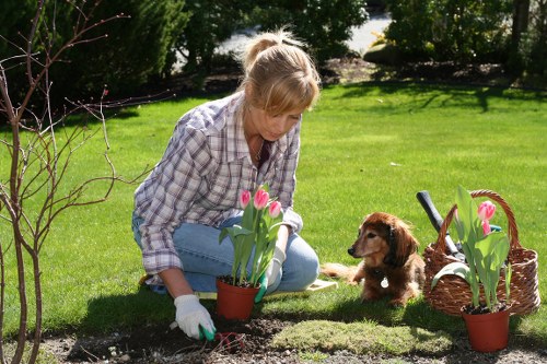Donation of surplus plants and materials to local community charity