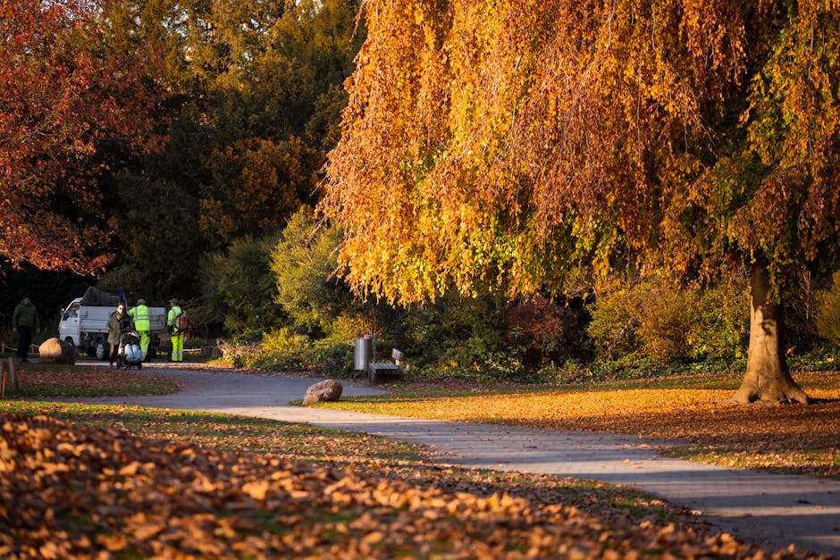 A park scene during autumn featuring a large tree with leaves in shades of orange and yellow, casting shadows on the paved walkway. Next to the tree, there is a patch of fallen leaves covering parts o
