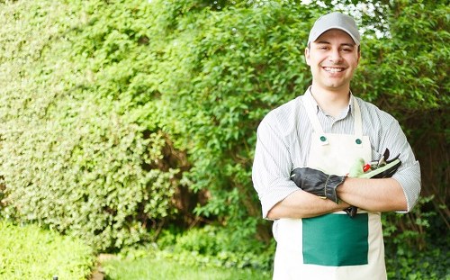 Seasonal garden care activities in Dulwich during spring.