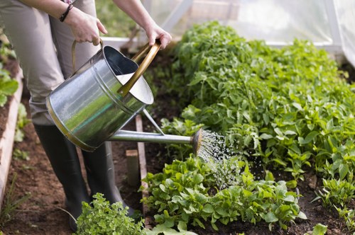 Effective garden maintenance techniques for a thriving Dulwich garden.